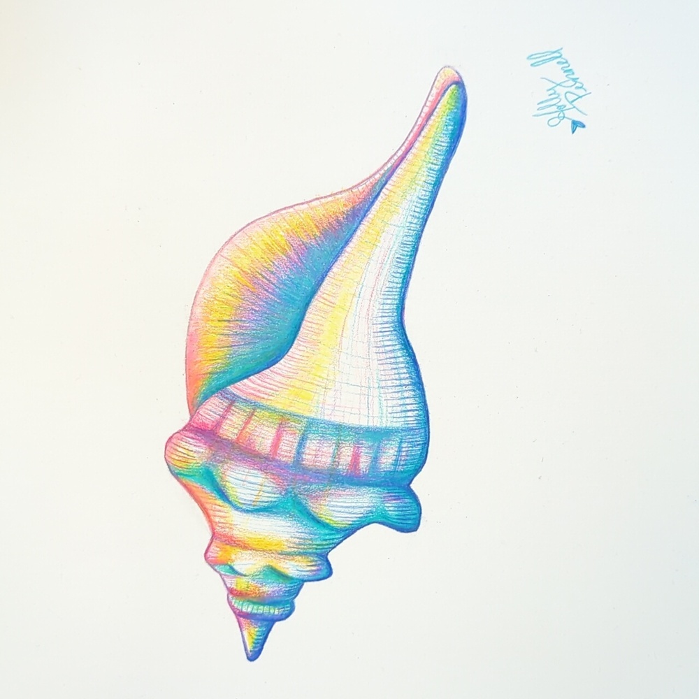 Original Artwork-Vibrant Conch Shell Art-Hand Drawn By Holly Pennell-9x12 - Picture 2 of 2